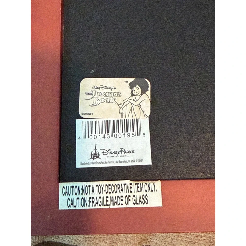 Disney parks authentic